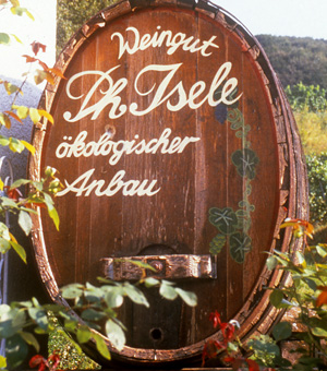 weinbau4.jpg